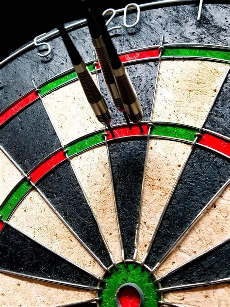 A Portrait In Darts .